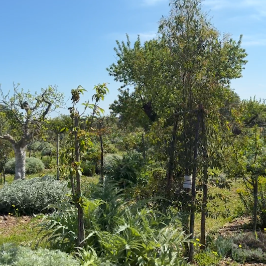 Primavera in movimento
